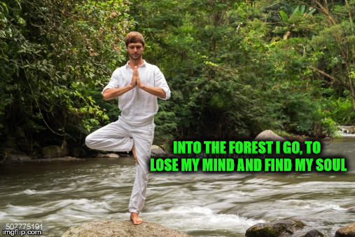 INTO THE FOREST I GO, TO LOSE MY MIND AND FIND MY SOUL | image tagged in nature | made w/ Imgflip meme maker