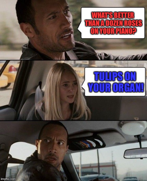 If you don't get it then don't feel bad. | WHAT'S BETTER THAN A DOZEN ROSES ON YOUR PIANO? TULIPS ON YOUR ORGAN! | image tagged in memes,the rock driving,roses,tulips,piano,organs | made w/ Imgflip meme maker