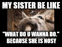 dugly donkey lifk | MY SISTER BE LIKE; "WHAT DO U WANNA DO." BECAUSE SHE IS NOSY | image tagged in dugly donkey lifk | made w/ Imgflip meme maker
