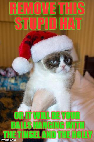 Grumpy Cat Christmas | REMOVE THIS STUPID HAT; OR IT WILL BE YOUR BALLS HANGING WITH THE TINSEL AND THE HOLLY | image tagged in memes,grumpy cat christmas,grumpy cat | made w/ Imgflip meme maker