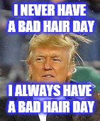 trump hair day | I NEVER HAVE A BAD HAIR DAY; I ALWAYS HAVE A BAD HAIR DAY | image tagged in donald trump | made w/ Imgflip meme maker