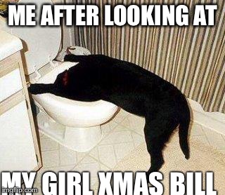 Sick Puppy | ME AFTER LOOKING AT; MY GIRL XMAS BILL | image tagged in sick puppy | made w/ Imgflip meme maker