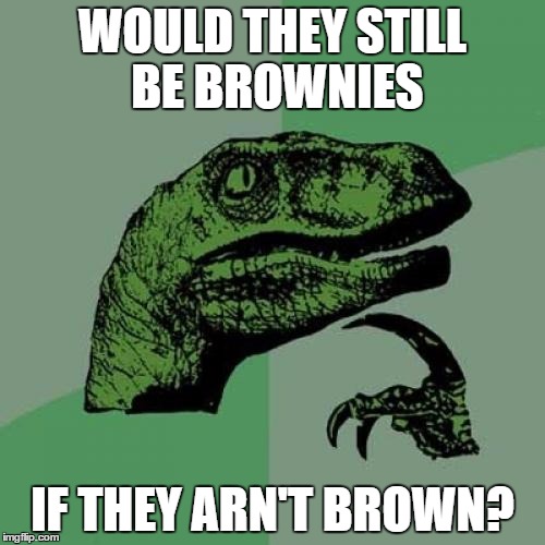 Philosoraptor Meme | WOULD THEY STILL BE BROWNIES; IF THEY ARN'T BROWN? | image tagged in memes,philosoraptor | made w/ Imgflip meme maker