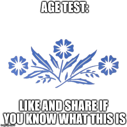 Corning Blue Flower 1 | AGE TEST:; LIKE AND SHARE IF YOU KNOW WHAT THIS IS | image tagged in so true memes | made w/ Imgflip meme maker