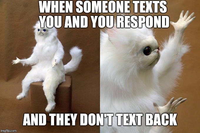 Persian Cat Room Guardian Meme | WHEN SOMEONE TEXTS YOU AND YOU RESPOND; AND THEY DON'T TEXT BACK | image tagged in memes,persian cat room guardian | made w/ Imgflip meme maker