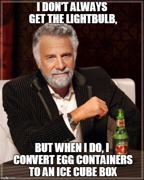 The Most Interesting Man In The World Meme | I DON'T ALWAYS GET THE LIGHTBULB, BUT WHEN I DO, I CONVERT EGG CONTAINERS TO AN ICE CUBE BOX | image tagged in memes,the most interesting man in the world | made w/ Imgflip meme maker