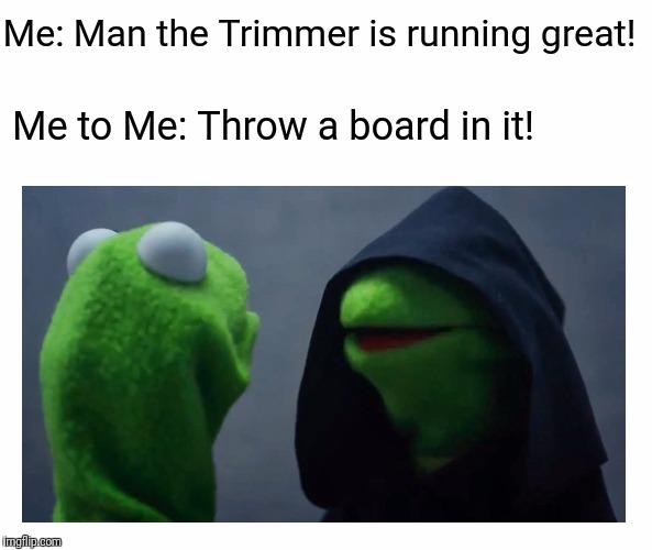 Sith Kermit | Me: Man the Trimmer is running great! Me to Me: Throw a board in it! | image tagged in sith kermit | made w/ Imgflip meme maker