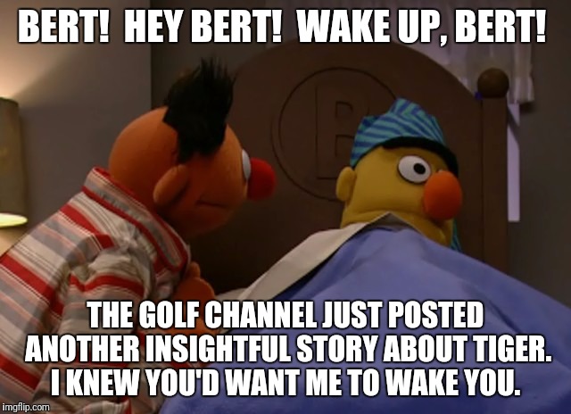 Bert and Ernie talking Tiger Woods |  BERT!  HEY BERT!  WAKE UP, BERT! THE GOLF CHANNEL JUST POSTED ANOTHER INSIGHTFUL STORY ABOUT TIGER. I KNEW YOU'D WANT ME TO WAKE YOU. | image tagged in tiger woods,golf,pga tour,sesame street,bert and ernie,golf channel | made w/ Imgflip meme maker