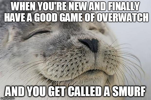 Satisfied Seal Meme | WHEN YOU'RE NEW AND FINALLY HAVE A GOOD GAME OF OVERWATCH; AND YOU GET CALLED A SMURF | image tagged in memes,satisfied seal | made w/ Imgflip meme maker