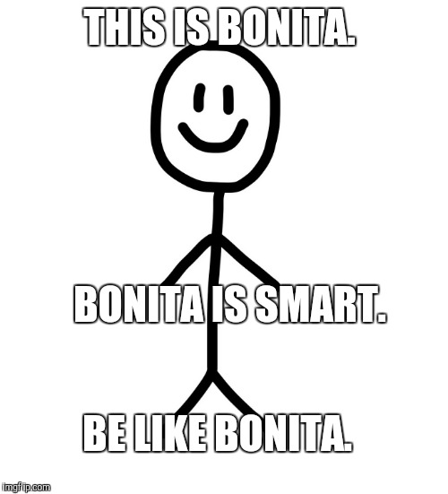 Stick figure | THIS IS BONITA. BONITA IS SMART. BE LIKE BONITA. | image tagged in stick figure | made w/ Imgflip meme maker