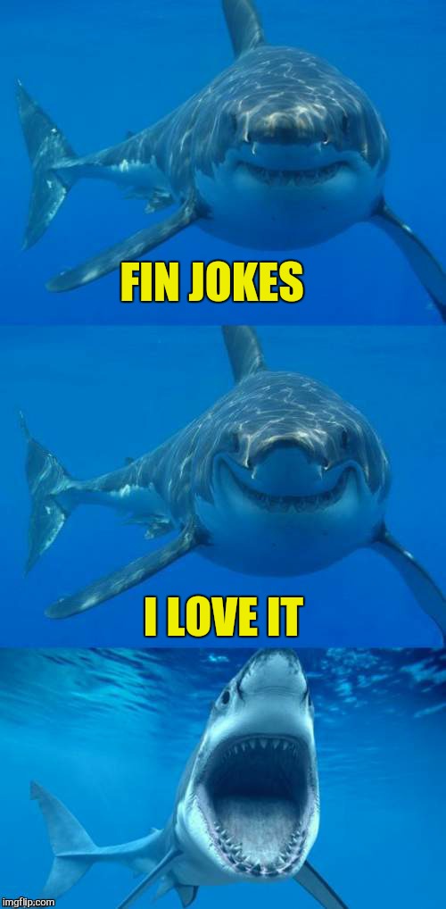 Bad Shark Pun  | FIN JOKES I LOVE IT | image tagged in bad shark pun | made w/ Imgflip meme maker