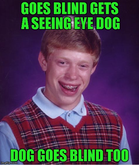 Bad Luck Brian Meme | GOES BLIND GETS A SEEING EYE DOG DOG GOES BLIND TOO | image tagged in memes,bad luck brian | made w/ Imgflip meme maker