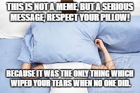 Pillow Talk | THIS IS NOT A MEME, BUT A SERIOUS MESSAGE, RESPECT YOUR PILLOW! BECAUSE IT WAS THE ONLY THING WHICH WIPED YOUR TEARS WHEN NO ONE DID. | image tagged in pillow talk | made w/ Imgflip meme maker