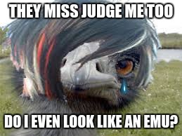 Emu Emu | THEY MISS JUDGE ME TOO DO I EVEN LOOK LIKE AN EMU? | image tagged in emu emu | made w/ Imgflip meme maker