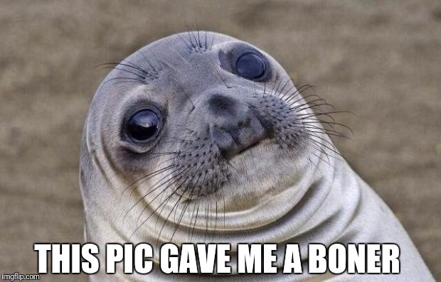Awkward Moment Sealion Meme | THIS PIC GAVE ME A BONER | image tagged in memes,awkward moment sealion | made w/ Imgflip meme maker