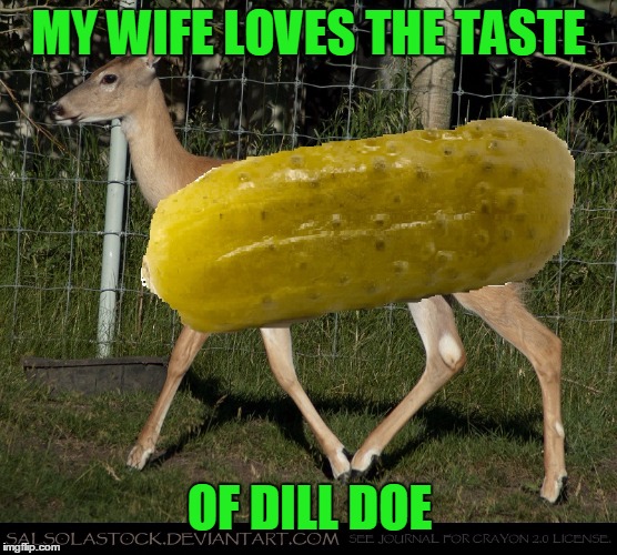 MY WIFE LOVES THE TASTE OF DILL DOE | made w/ Imgflip meme maker