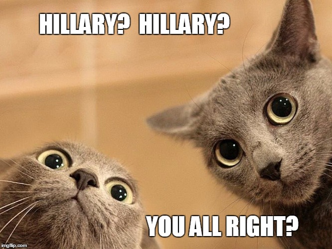 I CAN GLOAT BECAUSE I LOST AN ELECTION ONCE AND WAS DEVASTATED BUT GOT UP OFF THE FLOOR AND KEPT GOING | HILLARY?  HILLARY? YOU ALL RIGHT? | image tagged in lcd_cats,hillary clinton 2016,funny cats,election 2016 aftermath | made w/ Imgflip meme maker