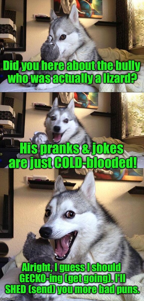 Lizard puns, because... reasons. :/ \: | Did you here about the bully who was actually a lizard? His pranks & jokes are just COLD-blooded! Alright, I guess I should GECKO-ing (get going). I'll SHED (send) you more bad puns. | image tagged in memes,bad pun dog,idfk | made w/ Imgflip meme maker