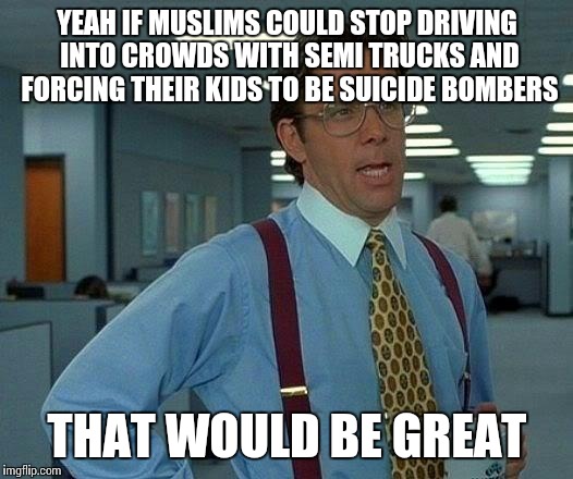 That Would Be Great Meme | YEAH IF MUSLIMS COULD STOP DRIVING INTO CROWDS WITH SEMI TRUCKS AND FORCING THEIR KIDS TO BE SUICIDE BOMBERS; THAT WOULD BE GREAT | image tagged in memes,that would be great | made w/ Imgflip meme maker