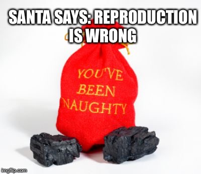 SANTA SAYS: REPRODUCTION IS WRONG | image tagged in naughty nice,santa,coal,antinatalism,natalism,childfree dia | made w/ Imgflip meme maker