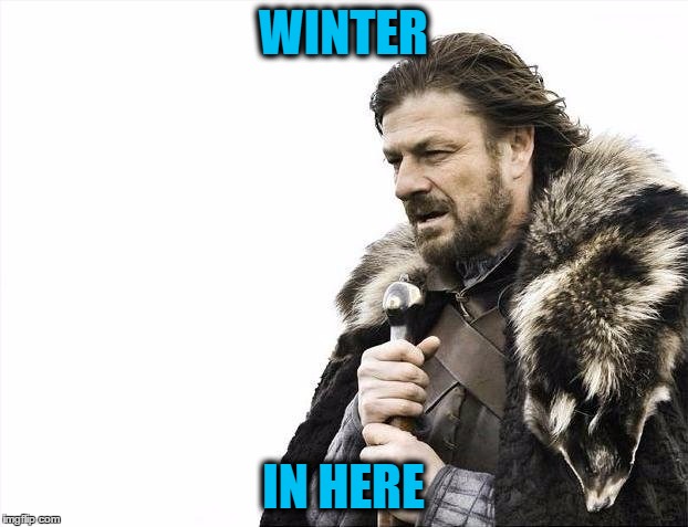 Brace Yourselves X is Coming Meme | WINTER; IN HERE | image tagged in memes,brace yourselves x is coming | made w/ Imgflip meme maker