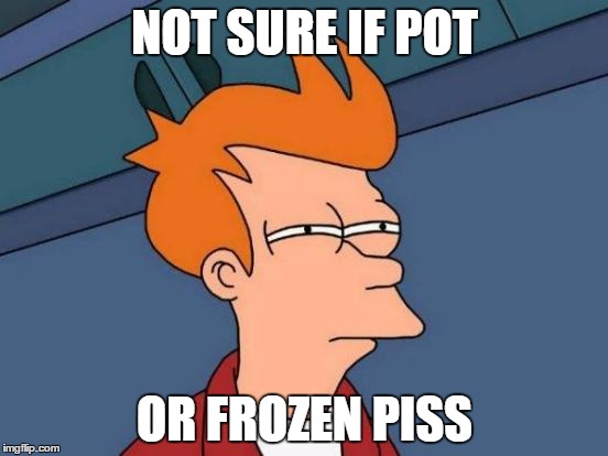 Futurama Fry | NOT SURE IF POT; OR FROZEN PISS | image tagged in memes,futurama fry | made w/ Imgflip meme maker