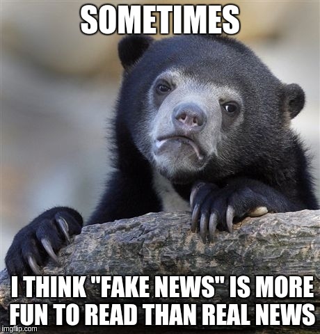 Confession Bear | SOMETIMES; I THINK "FAKE NEWS" IS MORE FUN TO READ THAN REAL NEWS | image tagged in memes,confession bear | made w/ Imgflip meme maker