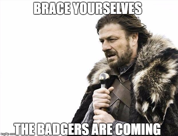 Brace Yourselves X is Coming | BRACE YOURSELVES; THE BADGERS ARE COMING | image tagged in memes,brace yourselves x is coming | made w/ Imgflip meme maker