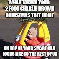 Last minute Christmas Shopping | WHAT TAKING YOUR 2 FOOT CHARLIE BROWN CHRISTMAS TREE HOME; ON TOP OF YOUR SMART CAR LOOKS LIKE TO THE REST OF US | image tagged in last minute christmas shopping | made w/ Imgflip meme maker