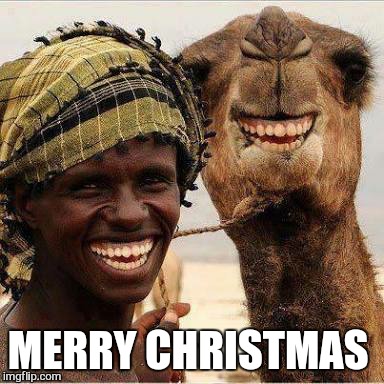 To all a good night | MERRY CHRISTMAS | image tagged in memes,christmas,funny,obviously,smiles | made w/ Imgflip meme maker