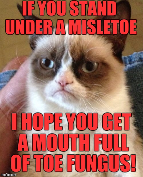 Grumpy Cat Meme | IF YOU STAND UNDER A MISLETOE; I HOPE YOU GET A MOUTH FULL OF TOE FUNGUS! | image tagged in memes,grumpy cat | made w/ Imgflip meme maker