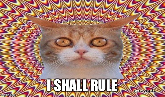 I SHALL RULE | made w/ Imgflip meme maker