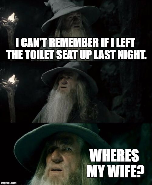 Confused Gandalf Meme | I CAN'T REMEMBER IF I LEFT THE TOILET SEAT UP LAST NIGHT. WHERES MY WIFE? | image tagged in memes,confused gandalf | made w/ Imgflip meme maker