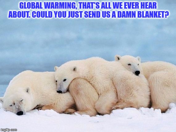Global warming | GLOBAL WARMING, THAT'S ALL WE EVER HEAR ABOUT. COULD YOU JUST SEND US A DAMN BLANKET? | image tagged in polar bears,cold,global warming,help | made w/ Imgflip meme maker