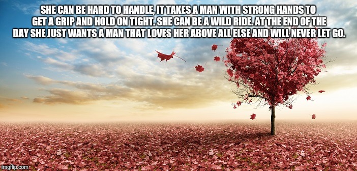 nature | SHE CAN BE HARD TO HANDLE, IT TAKES A MAN WITH STRONG HANDS TO GET A GRIP AND HOLD ON TIGHT. SHE CAN BE A WILD RIDE. AT THE END OF THE DAY SHE JUST WANTS A MAN THAT LOVES HER ABOVE ALL ELSE AND WILL NEVER LET GO. | image tagged in nature | made w/ Imgflip meme maker