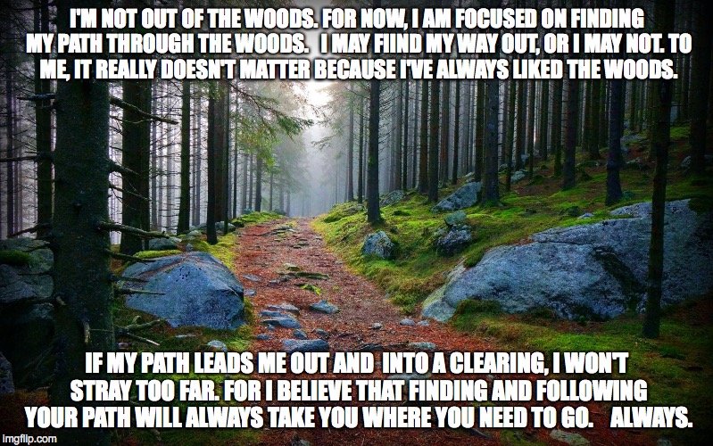 Forest Path | I'M NOT OUT OF THE WOODS. FOR NOW, I AM FOCUSED ON FINDING MY PATH THROUGH THE WOODS.  
I MAY FIIND MY WAY OUT, OR I MAY NOT.
TO ME, IT REALLY DOESN'T MATTER BECAUSE I'VE ALWAYS LIKED THE WOODS. IF MY PATH LEADS ME OUT AND  INTO A CLEARING, I WON'T STRAY TOO FAR.
FOR I BELIEVE THAT FINDING AND FOLLOWING YOUR PATH WILL ALWAYS TAKE YOU WHERE YOU NEED TO GO.   
ALWAYS. | image tagged in forest path | made w/ Imgflip meme maker