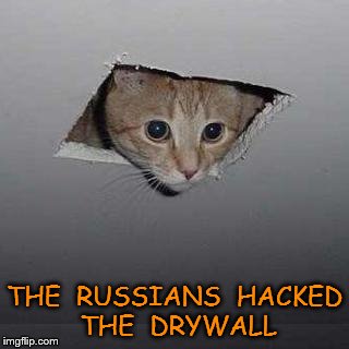 Ceiling Cat Meme | THE  RUSSIANS  HACKED  THE  DRYWALL | image tagged in memes,ceiling cat | made w/ Imgflip meme maker