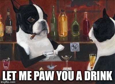 LET ME PAW YOU A DRINK | image tagged in memes,funny,bad puns | made w/ Imgflip meme maker