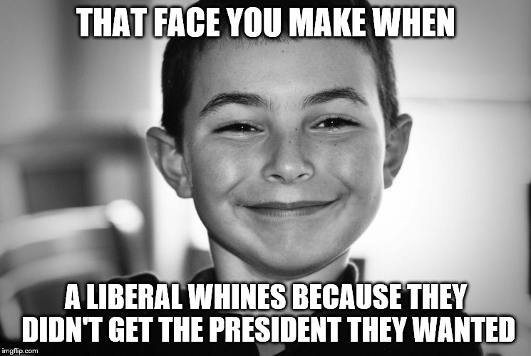 THAT FACE YOU MAKE WHEN; A LIBERAL WHINES BECAUSE THEY DIDN'T GET THE PRESIDENT THEY WANTED | image tagged in that face you make when | made w/ Imgflip meme maker