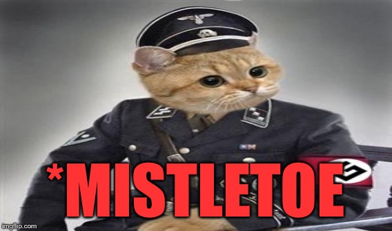 *MISTLETOE | made w/ Imgflip meme maker