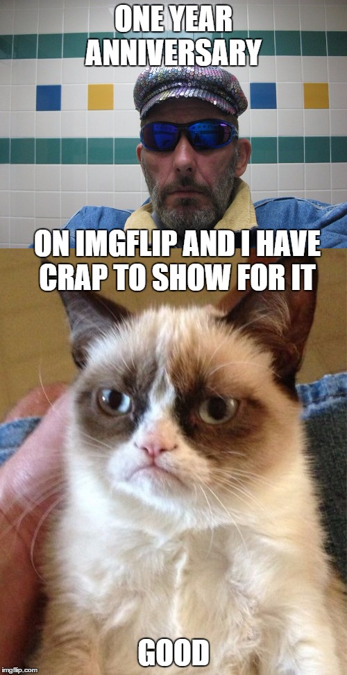 one year anniversary | ONE YEAR ANNIVERSARY; ON IMGFLIP AND I HAVE CRAP TO SHOW FOR IT; GOOD | image tagged in grumpy cat,tuberavens,memes | made w/ Imgflip meme maker