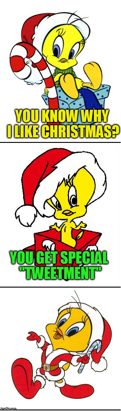 Tweety Christmas! (A TammyFaye Template) | YOU KNOW WHY I LIKE CHRISTMAS? YOU GET SPECIAL ''TWEETMENT'' | image tagged in tweety christmas,christmas memes,tweety bird,jokes,tammyfaye | made w/ Imgflip meme maker