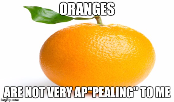 bad orange pun | ORANGES; ARE NOT VERY AP"PEALING" TO ME | image tagged in bad puns | made w/ Imgflip meme maker