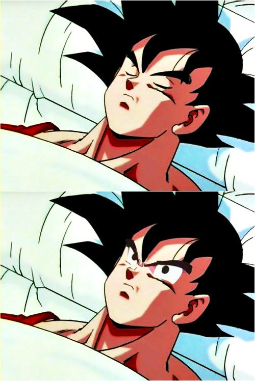 High Quality goku sleeping wake up Blank Meme Template