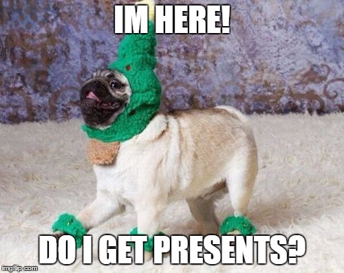 Christmas Pug | IM HERE! DO I GET PRESENTS? | image tagged in christmas pug | made w/ Imgflip meme maker