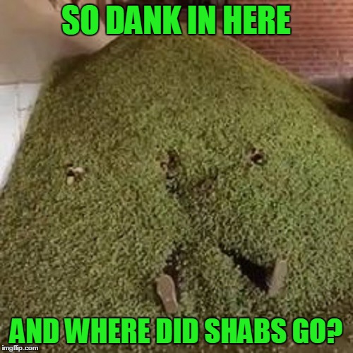 SO DANK IN HERE AND WHERE DID SHABS GO? | made w/ Imgflip meme maker