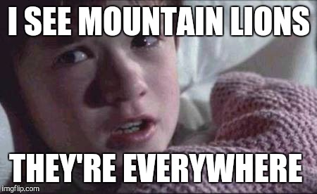 I See Dead People Meme | I SEE MOUNTAIN LIONS; THEY'RE EVERYWHERE | image tagged in memes,i see dead people | made w/ Imgflip meme maker