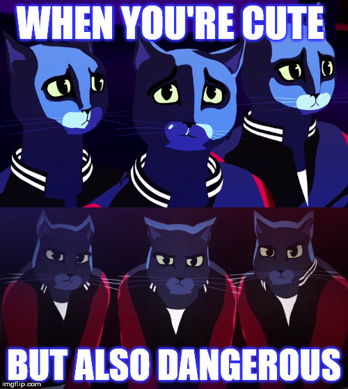 When you're cute | WHEN YOU'RE CUTE; BUT ALSO DANGEROUS | image tagged in memes,funny memes,cat,cats,dangerous | made w/ Imgflip meme maker