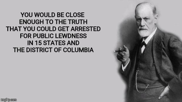 Sigmund Freud | YOU WOULD BE CLOSE ENOUGH TO THE TRUTH THAT YOU COULD GET ARRESTED FOR PUBLIC LEWDNESS IN 15 STATES AND THE DISTRICT OF COLUMBIA | image tagged in sigmund freud | made w/ Imgflip meme maker