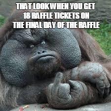 mad monkey | THAT LOOK WHEN YOU GET 18 RAFFLE TICKETS ON THE FINAL DAY OF THE RAFFLE | image tagged in mad monkey | made w/ Imgflip meme maker